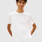 T-Shirt Tommy Jeans Homem Tjm Reg Sflag Ss Tee Ext