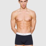 Cale�ons Masculin Tommy Hilfiger