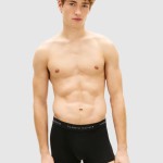Cale�ons Masculin Tommy Hilfiger