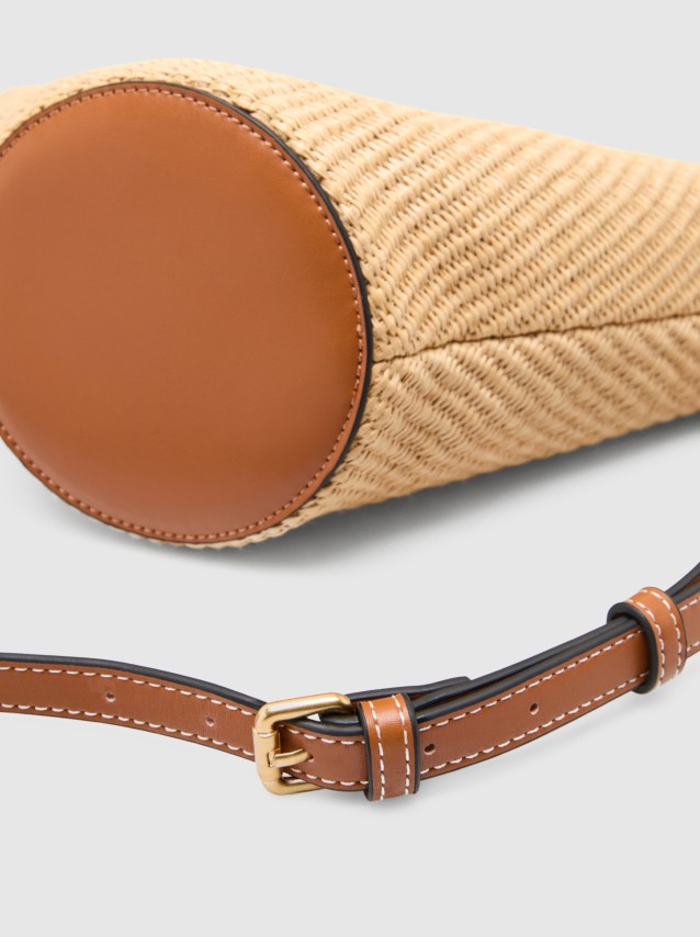 Female Lion Of Porches