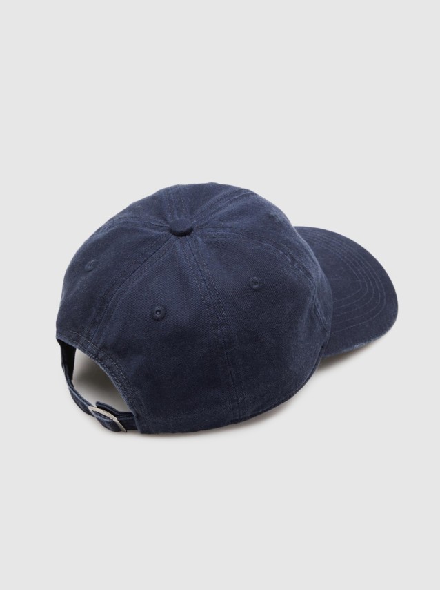 Masculin Lion Of Porches