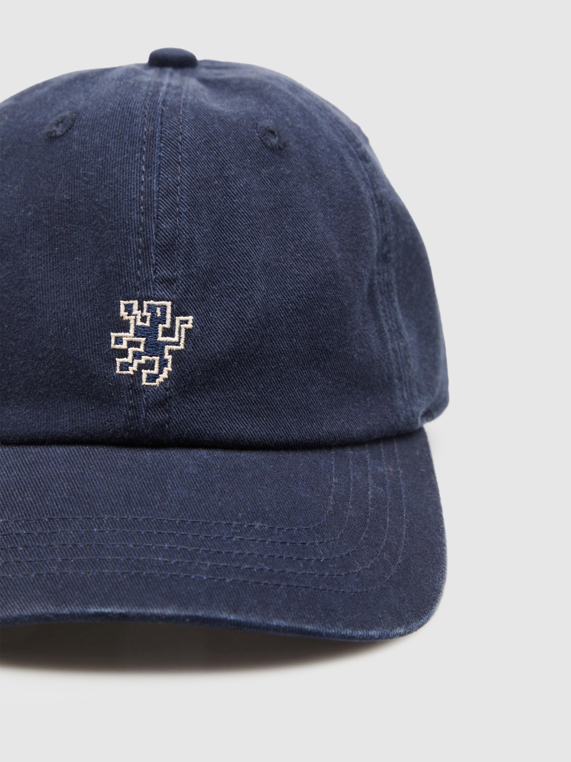 Male Lion Of Porches