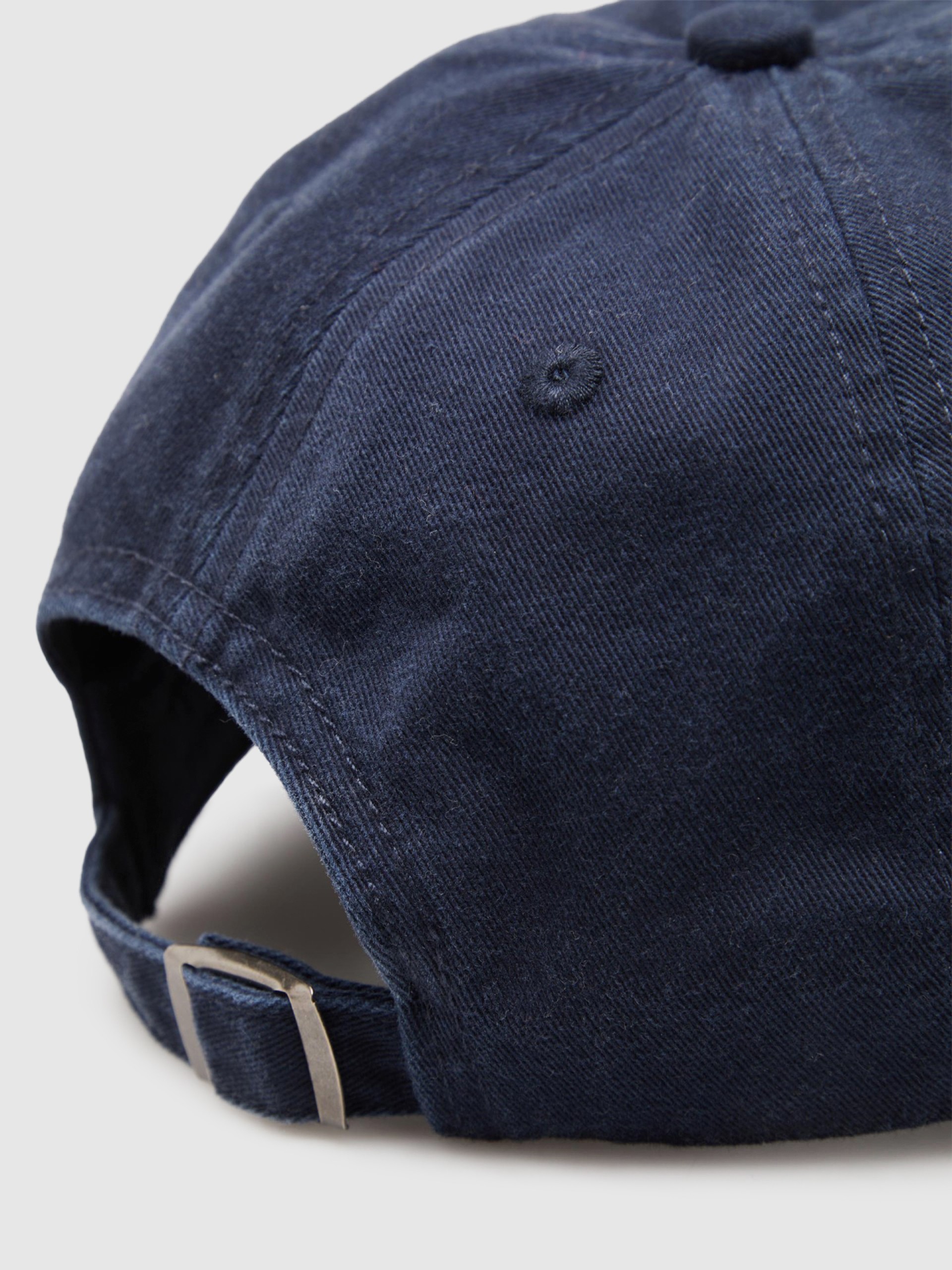 Male Lion Of Porches