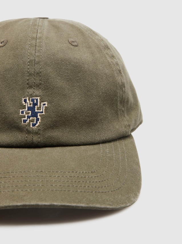 Masculin Lion Of Porches