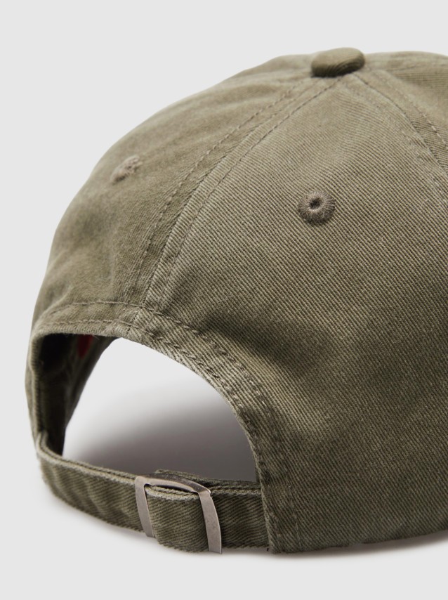 Masculin Lion Of Porches