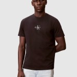T-Shirt Masculin Calvin Klein