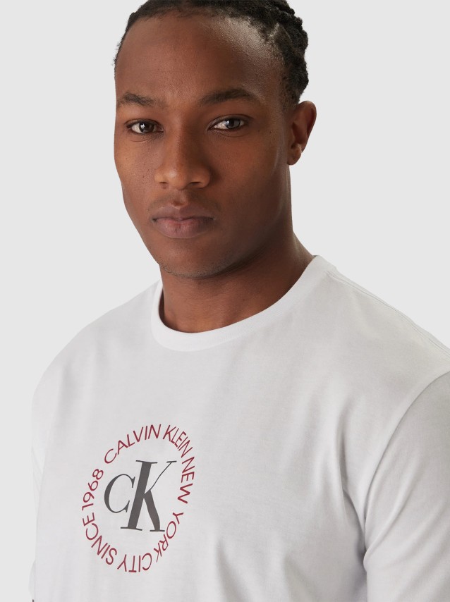 T-Shirt Masculin Calvin Klein