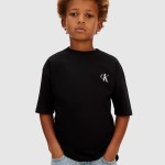 T-Shirt Masculin Calvin Klein