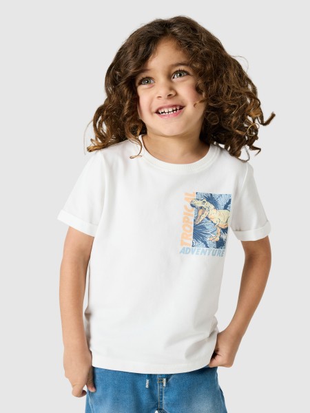 Camiseta Masculino Name It