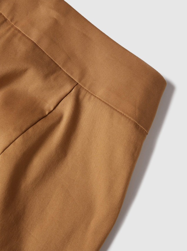 F�minin Lion Of Porches