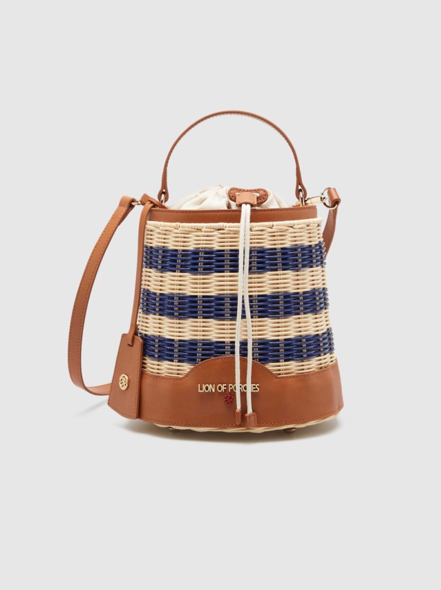 Female Lion Of Porches