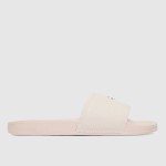Zapatillas Femenino Calvin Klein Footwear