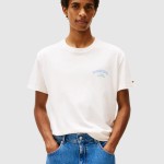 Camiseta Masculino Tommy Hilfiger