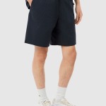 Shorts Masculin Lacoste