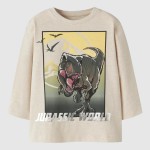 Camisola Name It Menino Nmmjim Jurassic Ls Nreg Top Box Noos Sky
