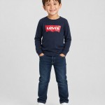 Chemises Masculin Levis