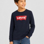 Chemises Masculin Levis