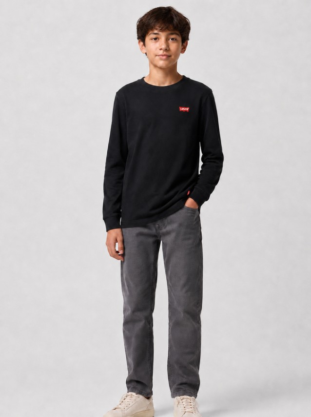 Camisola Levis Menino Lvb L/s Batwing Chesthit Tee