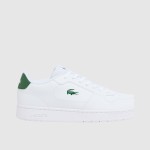 Sapatilha Lacoste Menino Juniors Court Ace Sneakers
