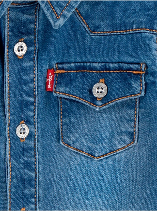 Camisas Masculino Levis