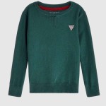 Masculin Guess Kids