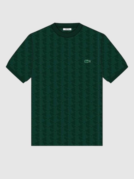 T-Shirt Masculin Lacoste T-Shirt Masculin Lacoste