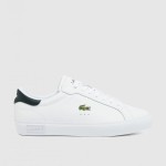 Male Lacoste