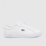 Male Lacoste
