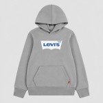Sweatshirt Levis Menino Lvb Batwing Screenprint Hoodie
