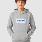 Sweatshirt Levis Menino Lvb Batwing Screenprint Hoodie