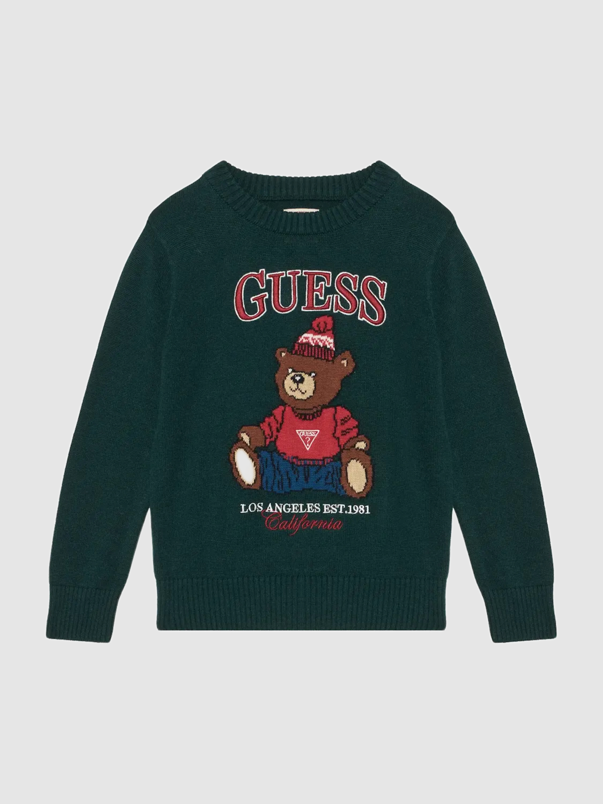 Camisola Guess Menino Ls Sweater
