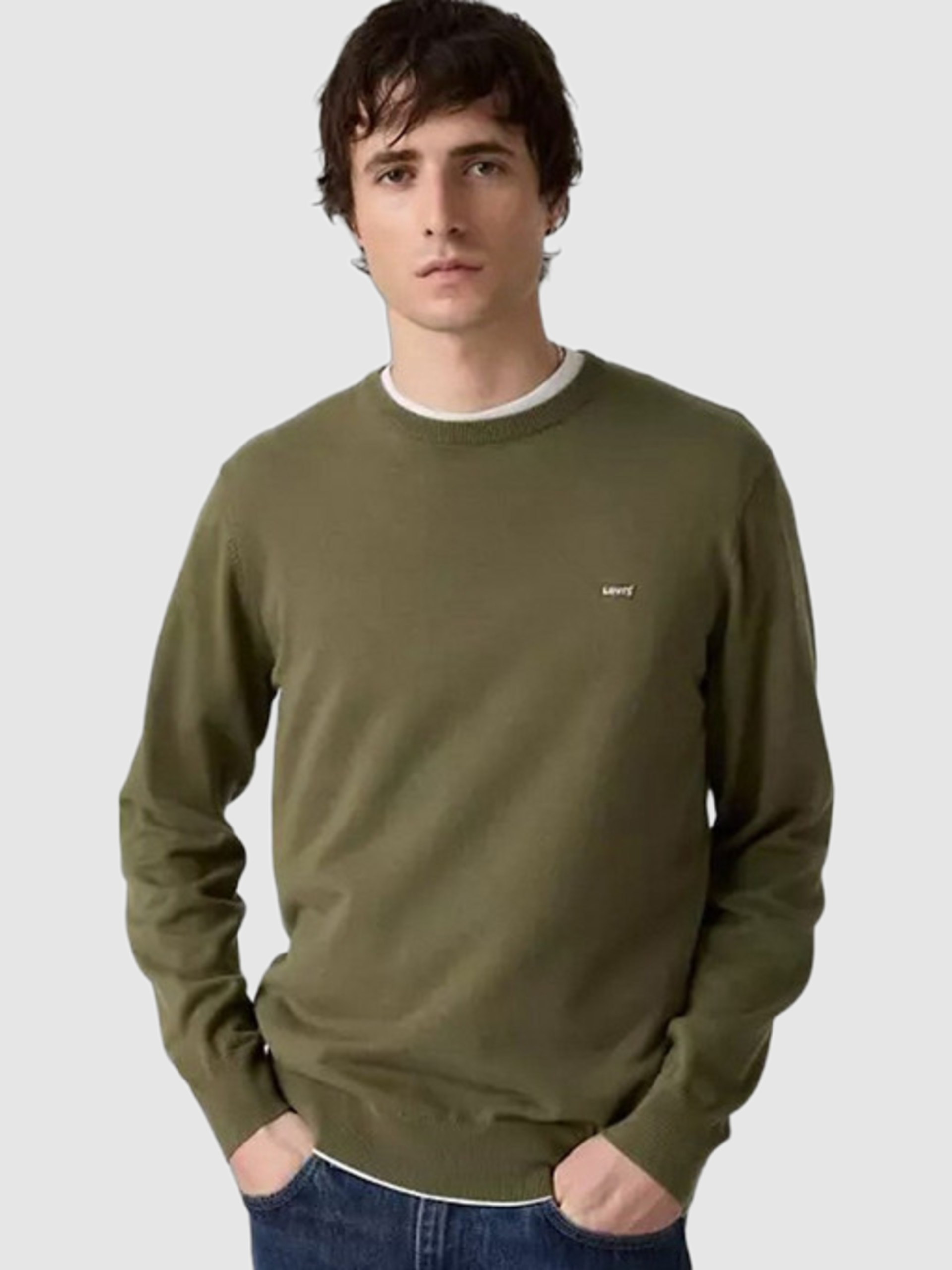 Camisola Levis Homem 2Lightweight Hm Sweater Greens